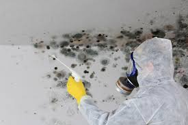 Best Mold Documentation for Insurance Claims  in Addison, TX